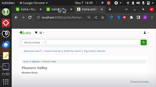 A screenshot of Koha tabs. Each tab starts with ‘Koha’ and you can’t tell what content is on each tab.