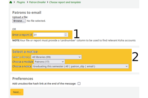 Run the patron emailer plugin page. Two parts of the page are yellow highlighted boxes. The first box contains the SQL report ID to run, and 31 is the inputted ID. The second box defines which cus