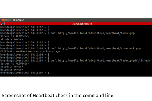 Screenshot of Heartbeat check in the command line