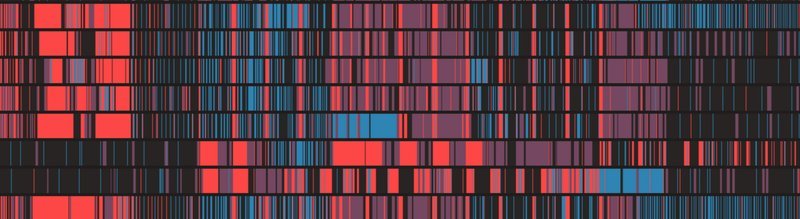 dragonfly-data-science-kokako_i9m7HS6.width-800